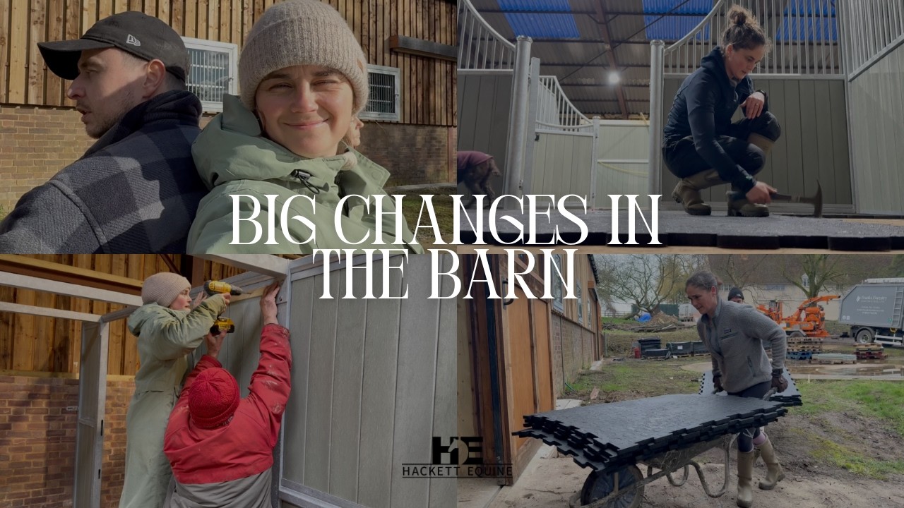Укладка матов в сарае и строительство конюшни | Большие перемены в сарае | Мири Хакетт