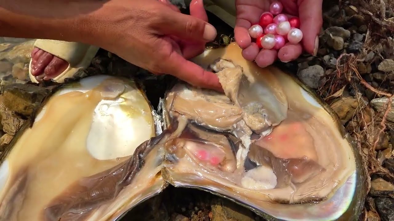 Traps and riddles guard a clam’s internal maze, where rewards demand intellect and courage