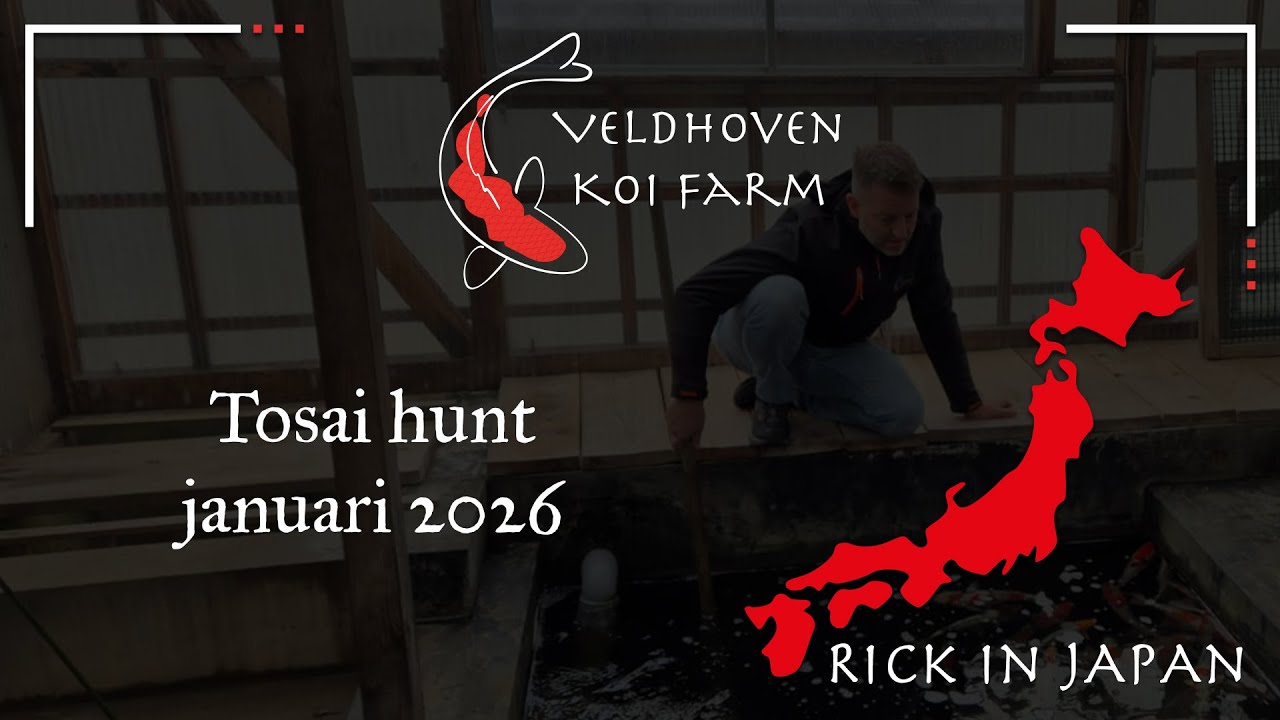 🎥 Tosai hunt in Japan (Deel 1)