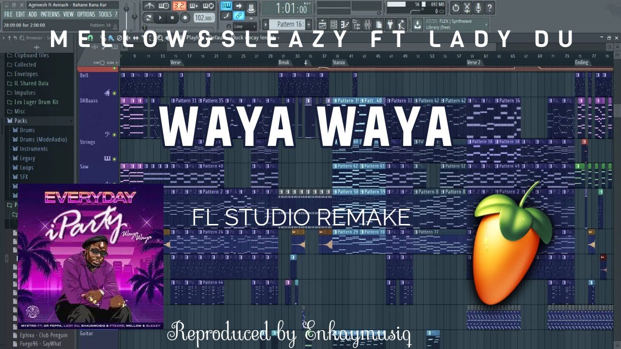 Lady Du_Waya waya ft Mellow&Sleazy(Everyday iparty)(Fl studio remake)
