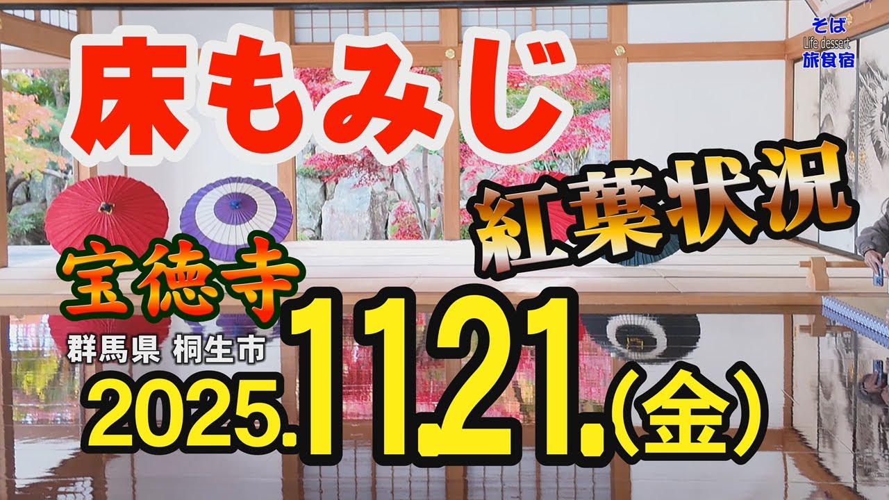 【群馬・床もみじ】4K 宝徳寺の紅葉状況　2025.11.21（金）　桐生市