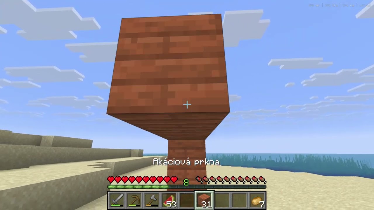 Minecraft part 2  postavyl sem dum