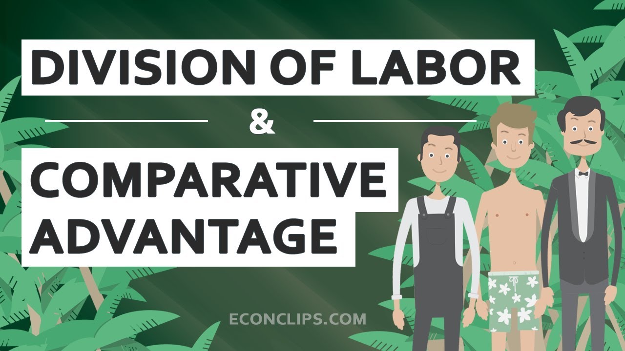 👨‍🌾👨‍🍳👨‍⚕️ Division of Labor and Comparative Advantage | Free Trade
