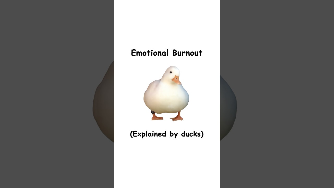 Emotional burnout (explained by ducks)