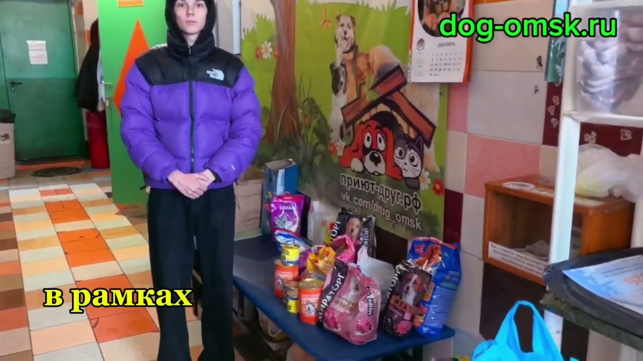 Итоги дня 24.12.2025