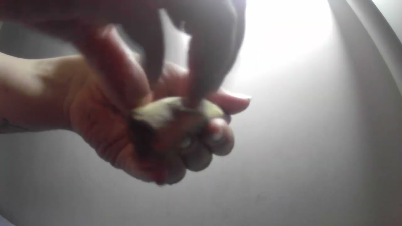 asmr • natural nails tapping on various objects - metal, glass, plastic - lofi