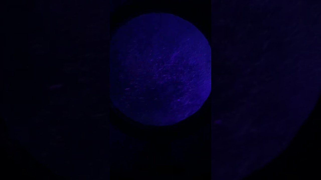 Disney Land Yellow Submarine Nemo ride!! 