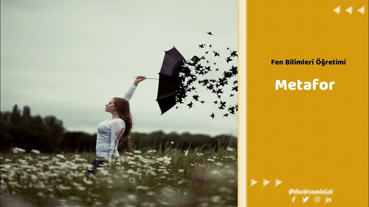 FEN BİLİMLERİ &Ouml;ĞRETİMİ / METAFOR