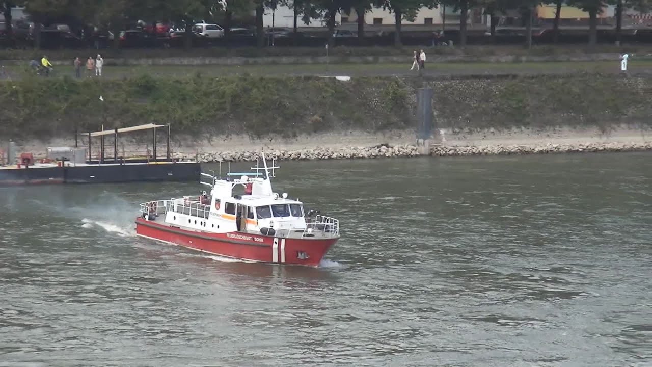 Person im Rhein Höhe Niederkassel-Lülsdorf - Feuerwehr Bonn rückt mit Booten ab am 27.09.2014