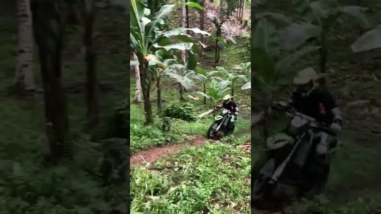 Nueva Fuerza trail ground. #2stroke #kmx #enduro #trail