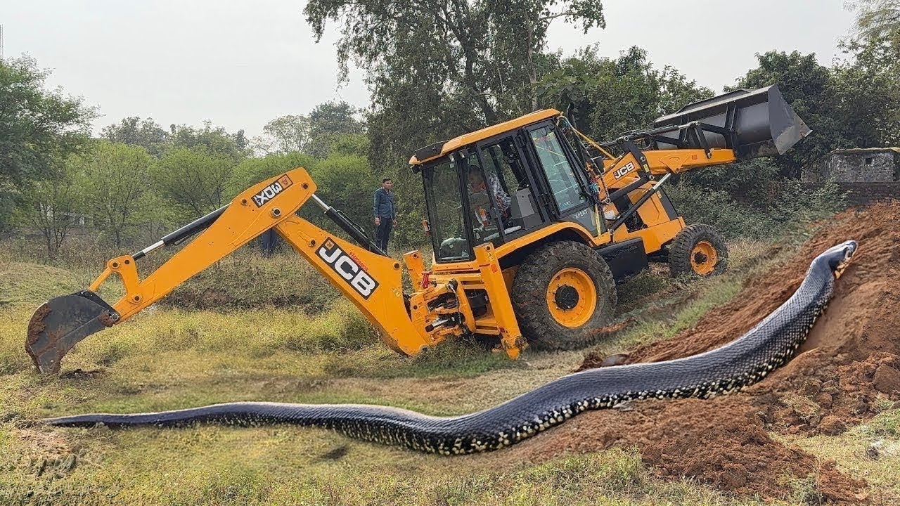 New JCB 3dx Eco Loading Mud Tractor's | Mahindra Tractor , NewHolland Tractor Trolley and Tracks