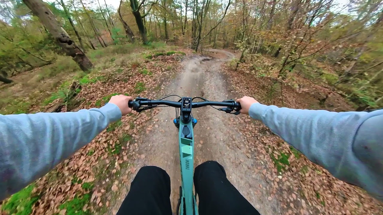 Mountain biking in Amerongen