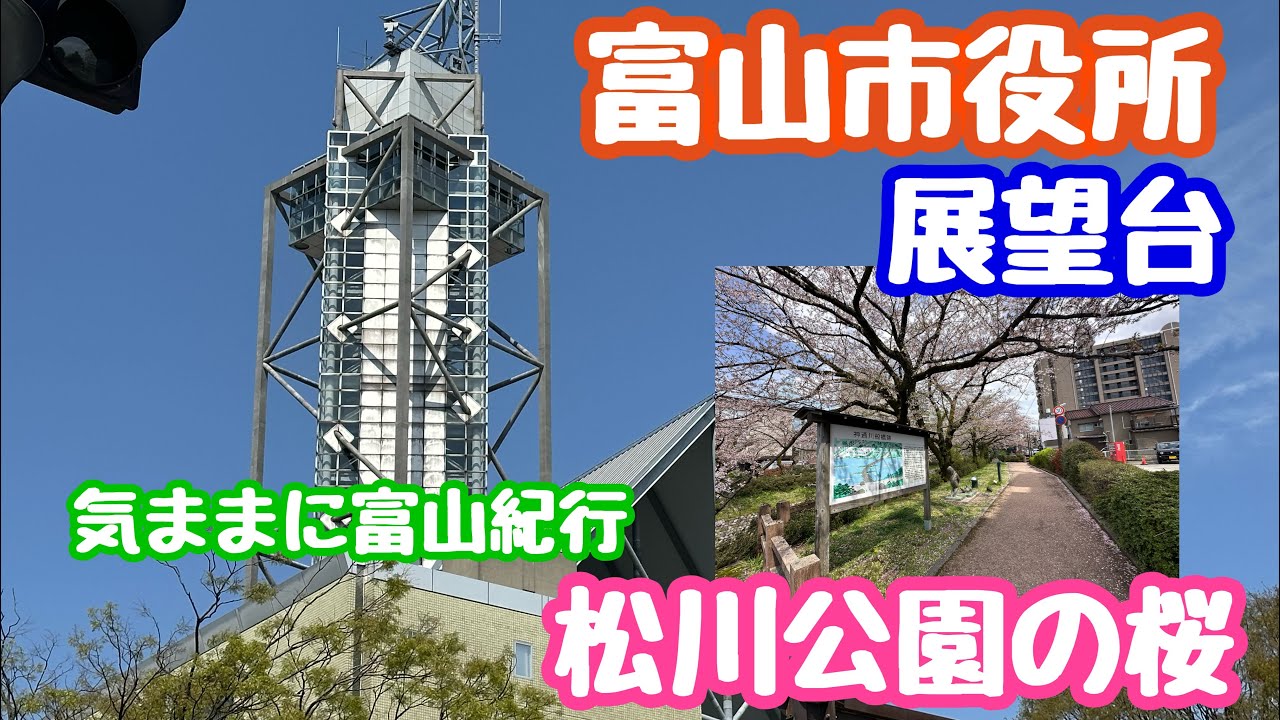2025年4月14日 富山市役所展望台と松川公園の桜🌸 気ままに富山紀行1日目