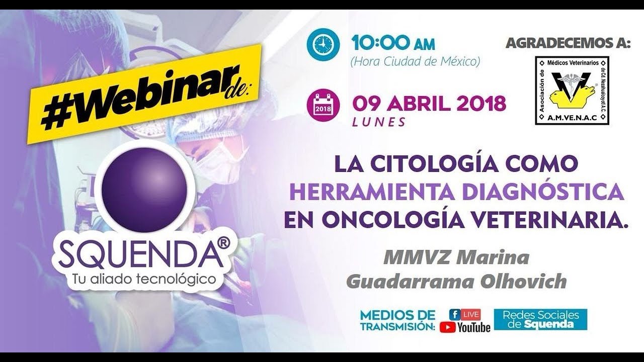 La Citología Como Herramienta Diagnóstica en Oncología Veterinaria - MMVZ Marina Guadarrama Olhovich