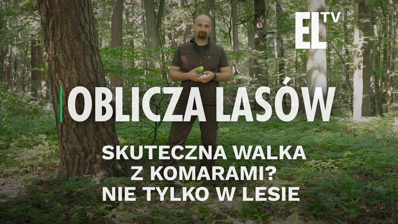 Skuteczna walka z komarami? Nie tylko w lesie | Oblicza lasów #81