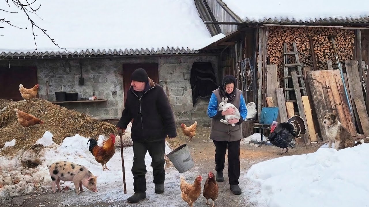 One day of ordinary village life. The secret of a happy old age for an elderly couple!