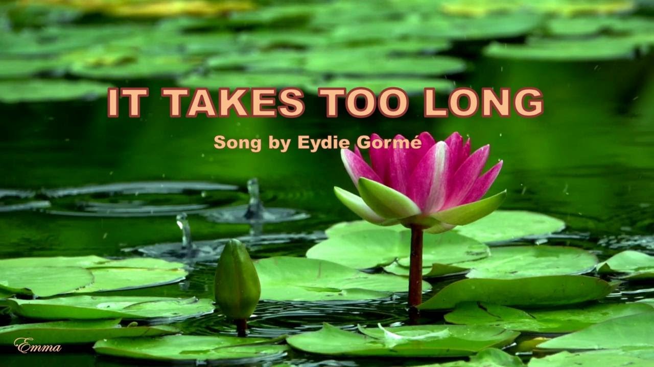 It takes too long Lyrics