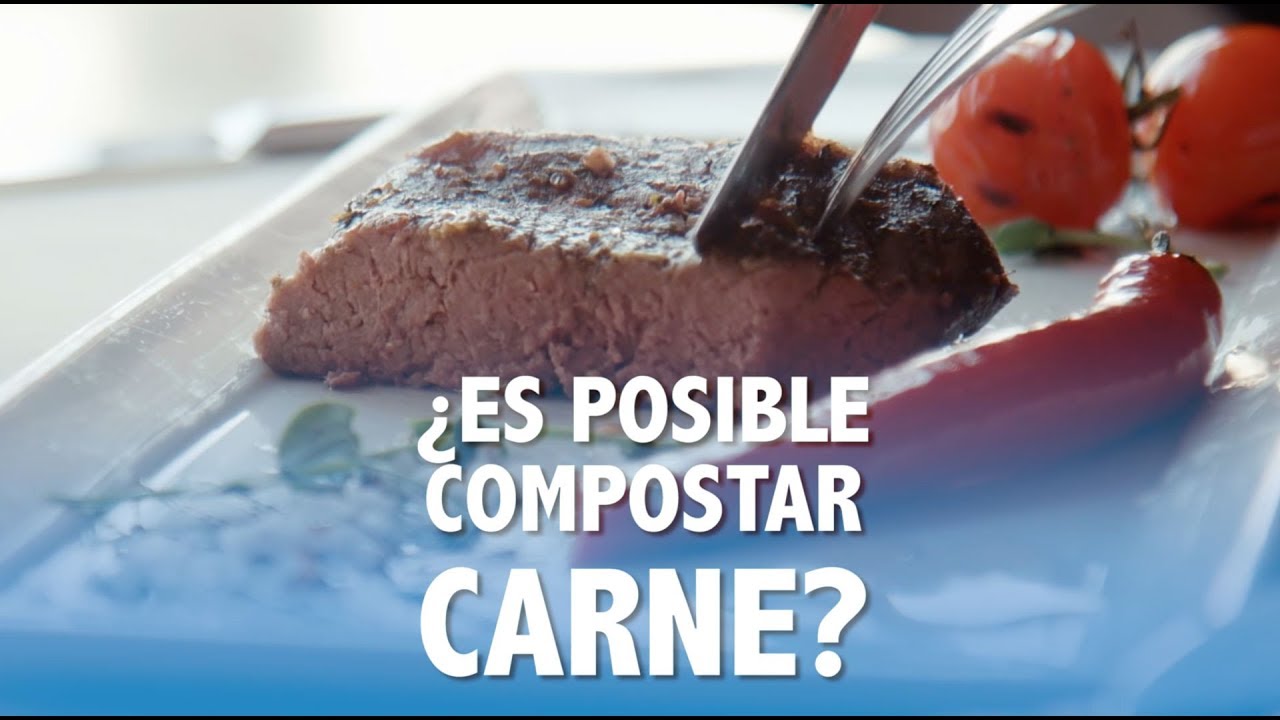 Como Compostar Carne - Visiones Sostenibles
