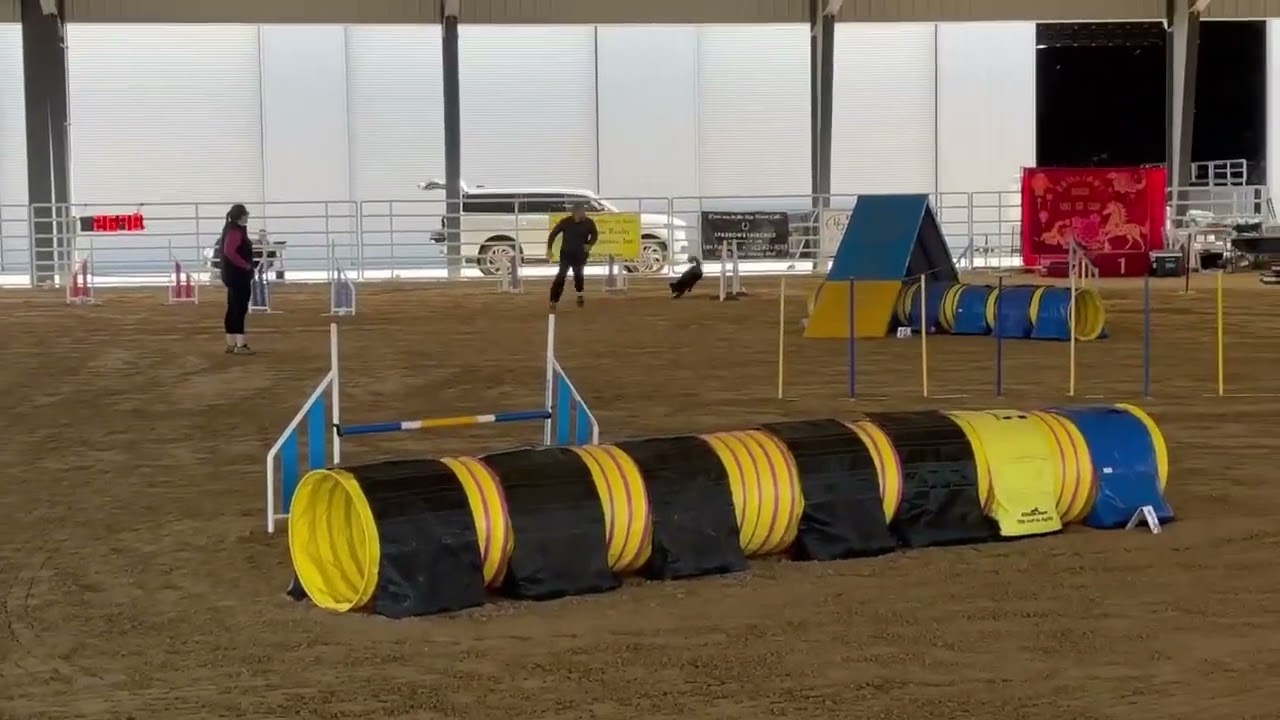 Jade Biathlon Agility SE CUP UKI 2026