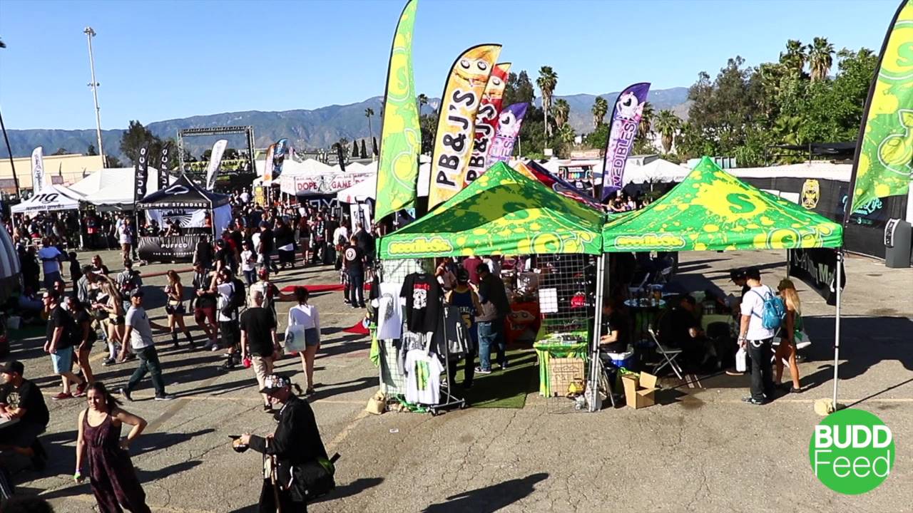 Budd Feed Goes to the Cannabis Cup