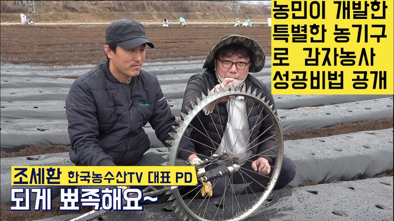 [한국농수산TV] 농민이 개발한 특이한 농기구로 감자농사를 잘 짓는 비법 대공개!! 경북 구미