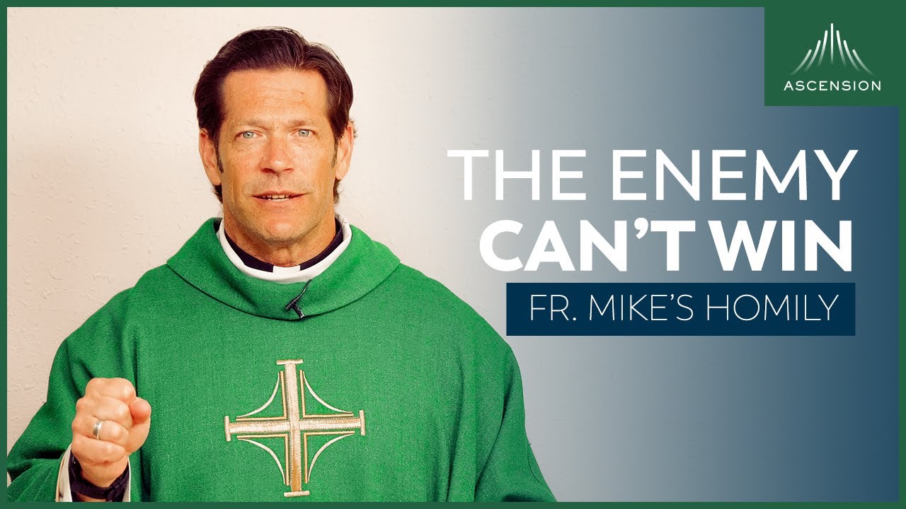 Parabellum: An Enemy | Sixteenth Sunday in Ordinary Time (Fr. Mike's Homily) #sundayhomily