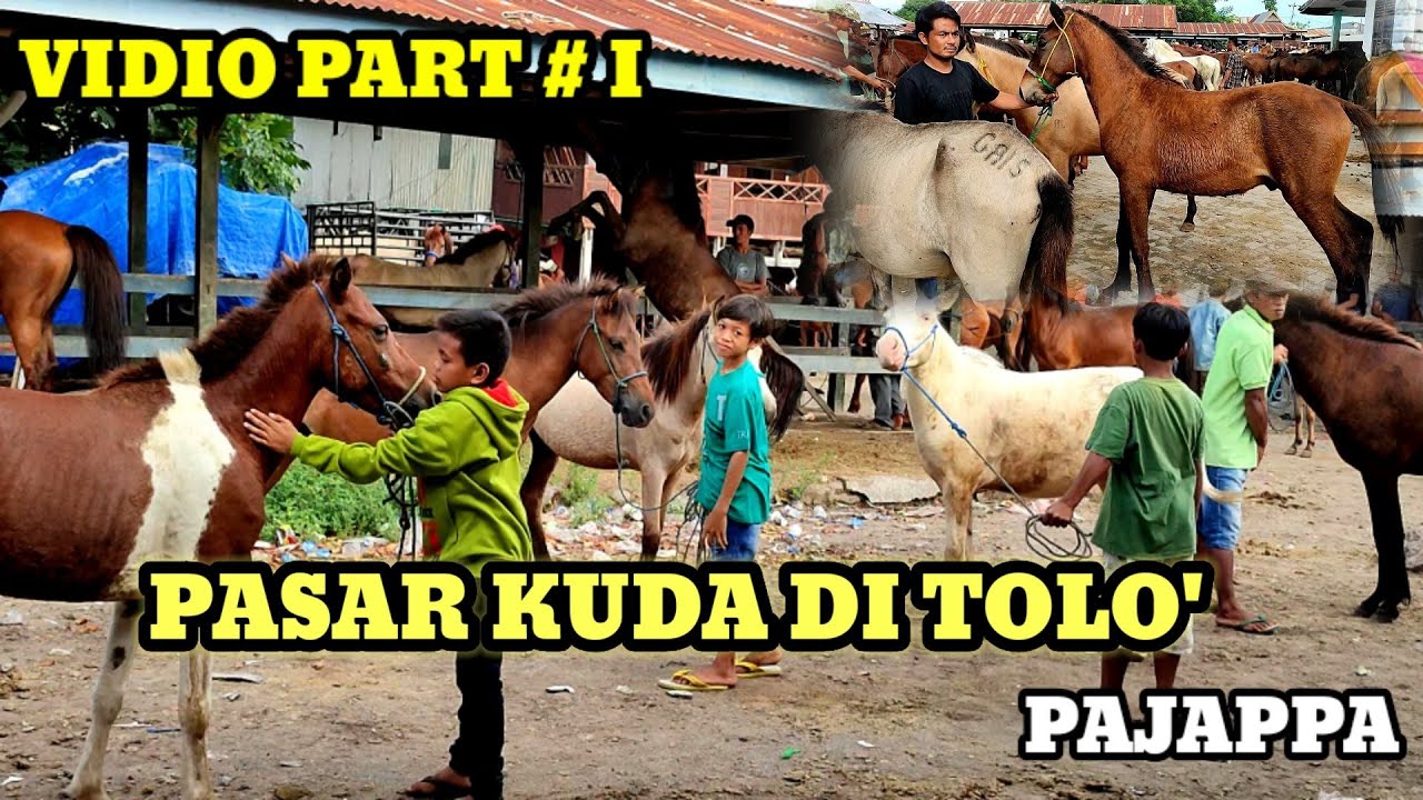 VIDEO PART 1 PASAR KUDA DI KABUPATEN JENEPONTO KECAMATAN TURATEA KELURAHAN TOLO. #kuda#peternakmuda