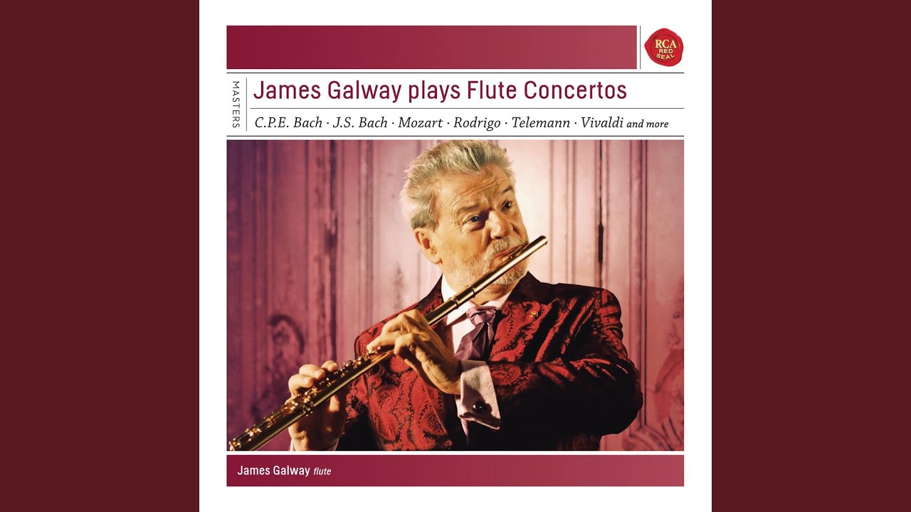 Concerto No. 2 for Flute and Orchestra, Op. 31 in D Minor: I. Allegro