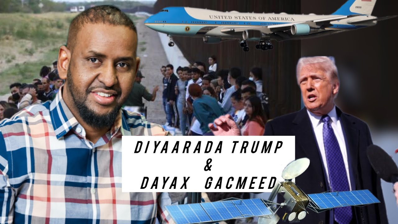 Soomali sameeyay Diyaarada Trump iyo Dayax gacmeed. Tahriib kadib | waxbarasho  iyo nolasha America.