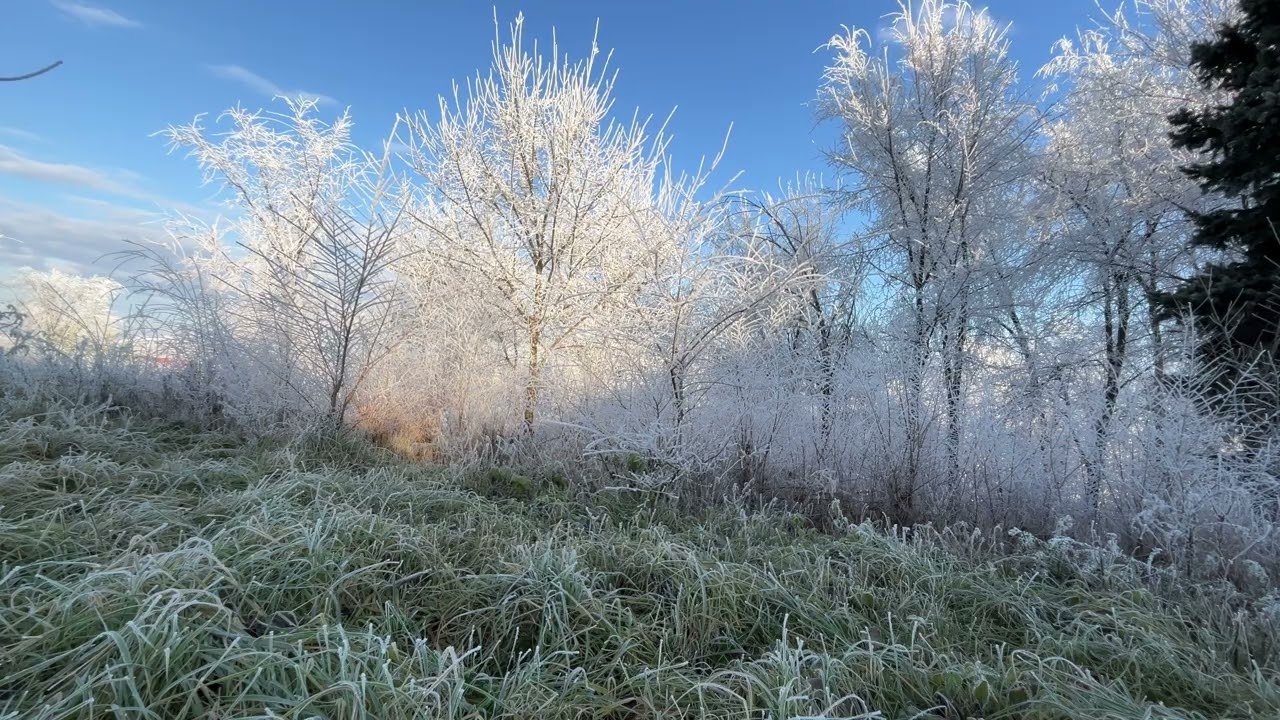 Winter Fairytale: 10 Hours in the Sun-Drenched Frozen Kingdom❄️✨ (4K UHD)