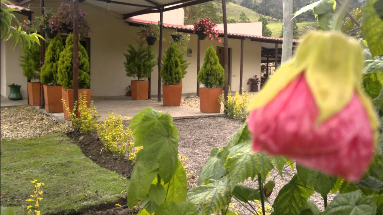 Finca para convivencias - eventos - salidas pedagógicas - Hacienda Cañaveral