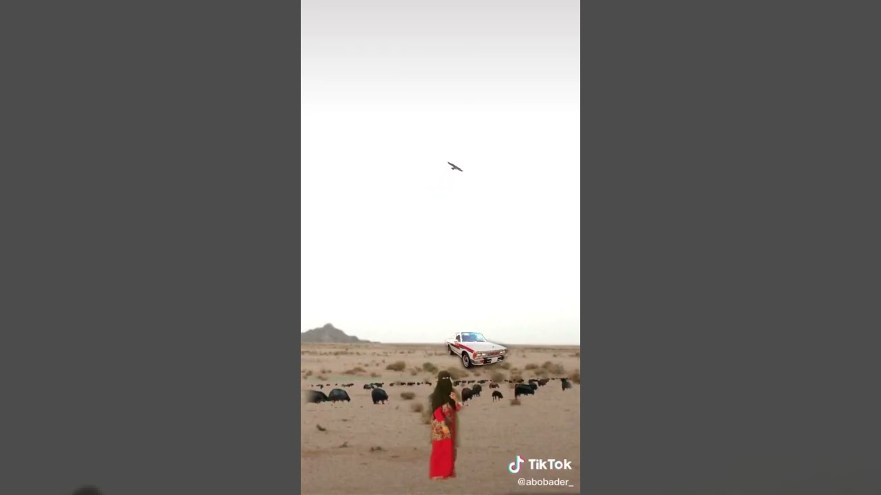 اغنيه نادره رشيدحنيفان