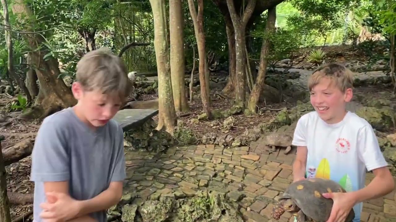 Exploring Barbados wilderness