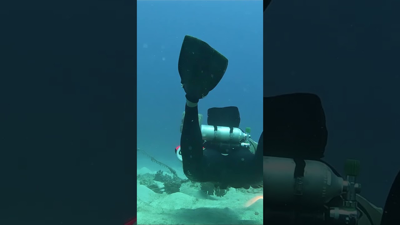 Sunday morning tec Sidemount the SF2 CCR in Okinawa                📸 GoPro Hero 9 / 11📍 Onna