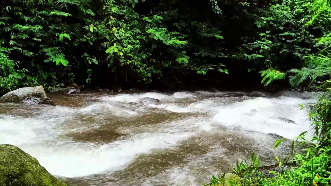 Mountain River Flowing Sounds 24/7 | Nature Sounds White Noise | Flowing Water for Deep Sleep, Relax