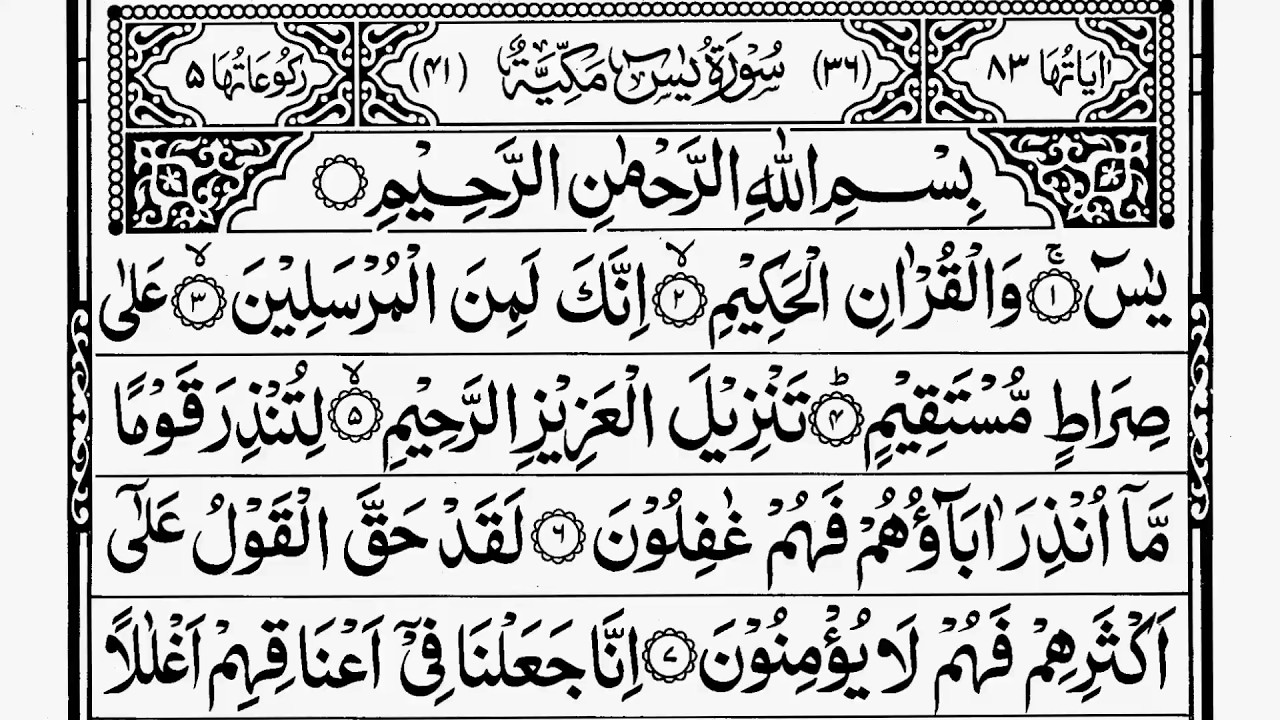 Surah Yaseen Surah Ar Rahman | Best Quran Recitation | Surah Yasin Tilawat | Episode_002