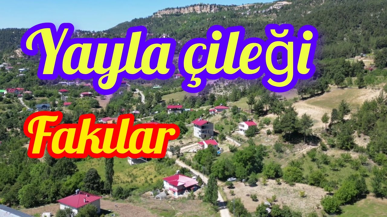 YAYLA ÇİLEKLERİ