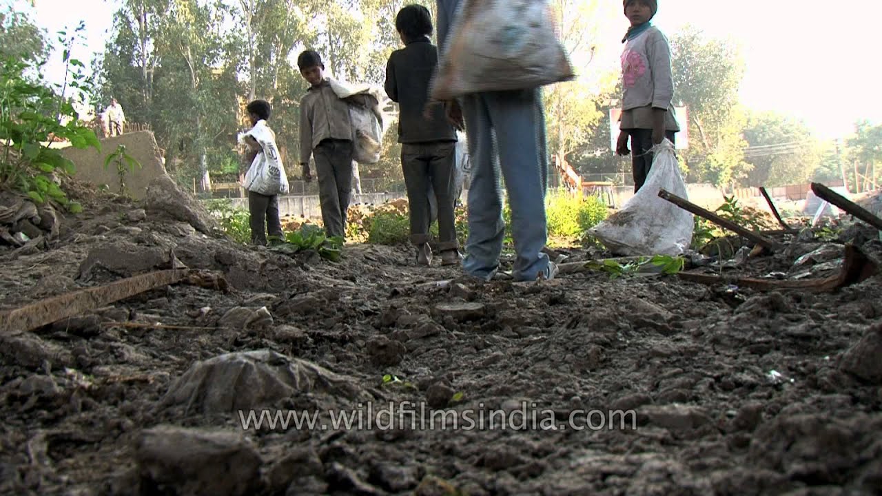 Down in the trash: Child rag pickers in Delhi