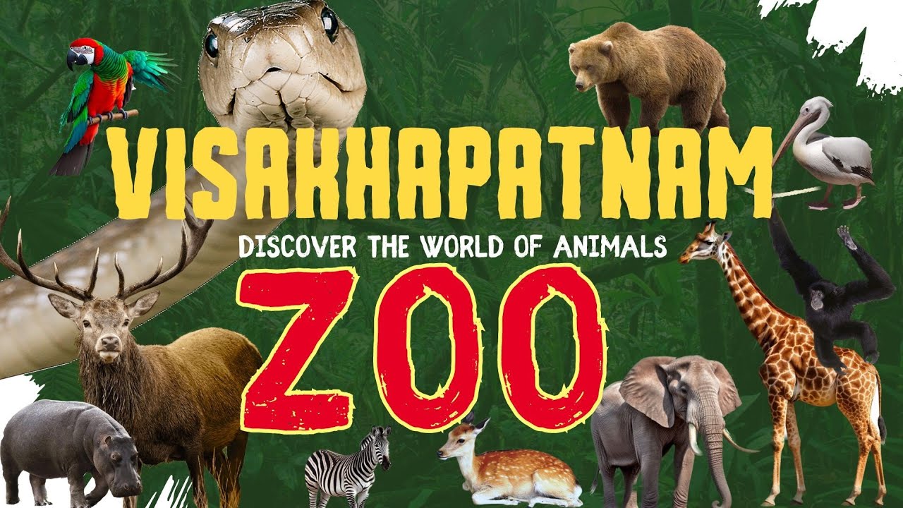 Vizag ZOO Full Tour | కొత్త జంతువులు వచ్చేసాయి || @views_withsai #animals #zoo #viral #videos #feed