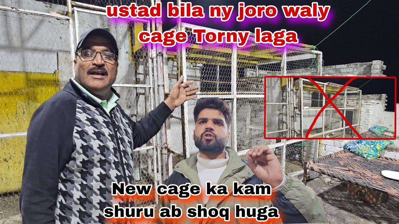 Ustad bila cage ko torny ka fesla kr leya😯joro ka shoq khtm new cage ki tayari