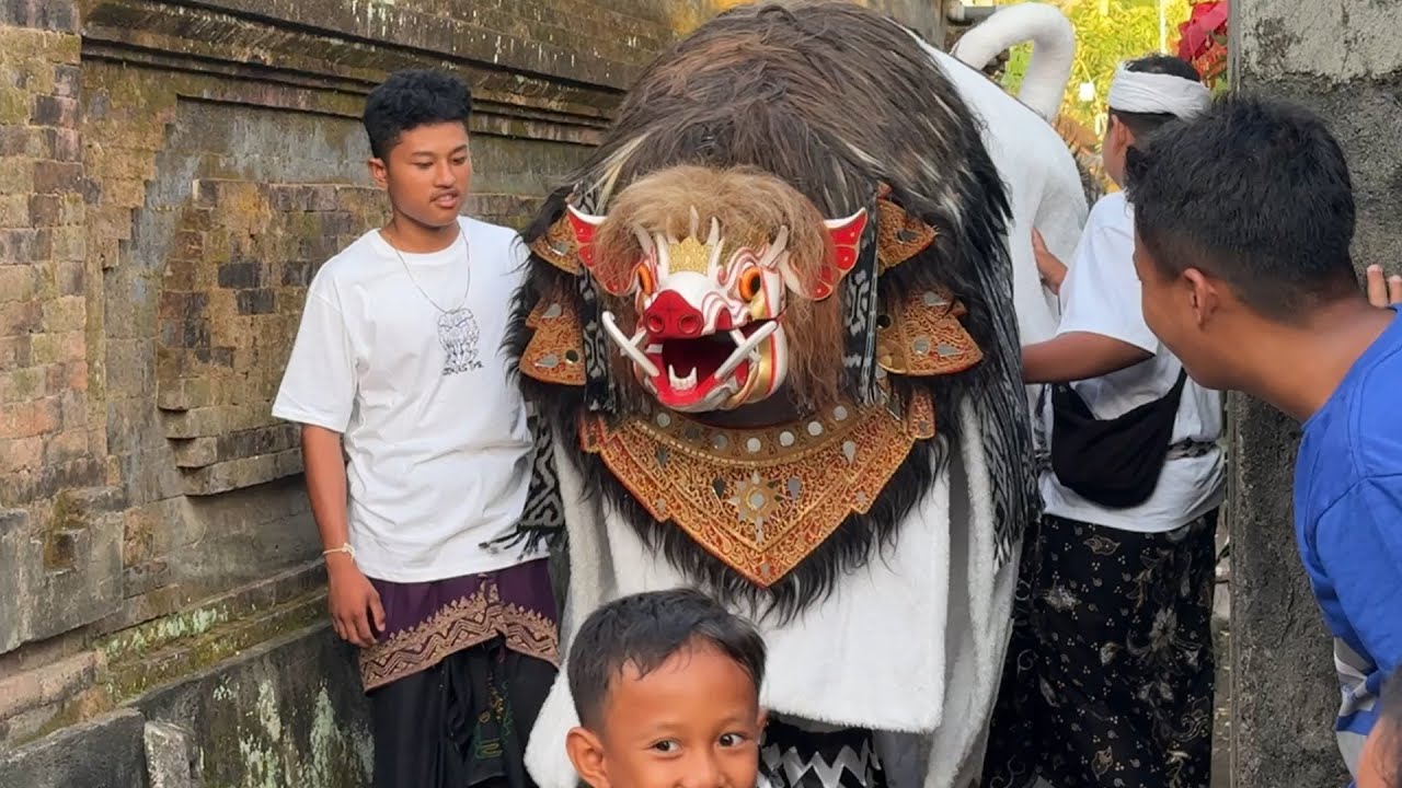 BARONG BANGKUNG PUTIH NGELAWANG DI KABA-KABA 2025