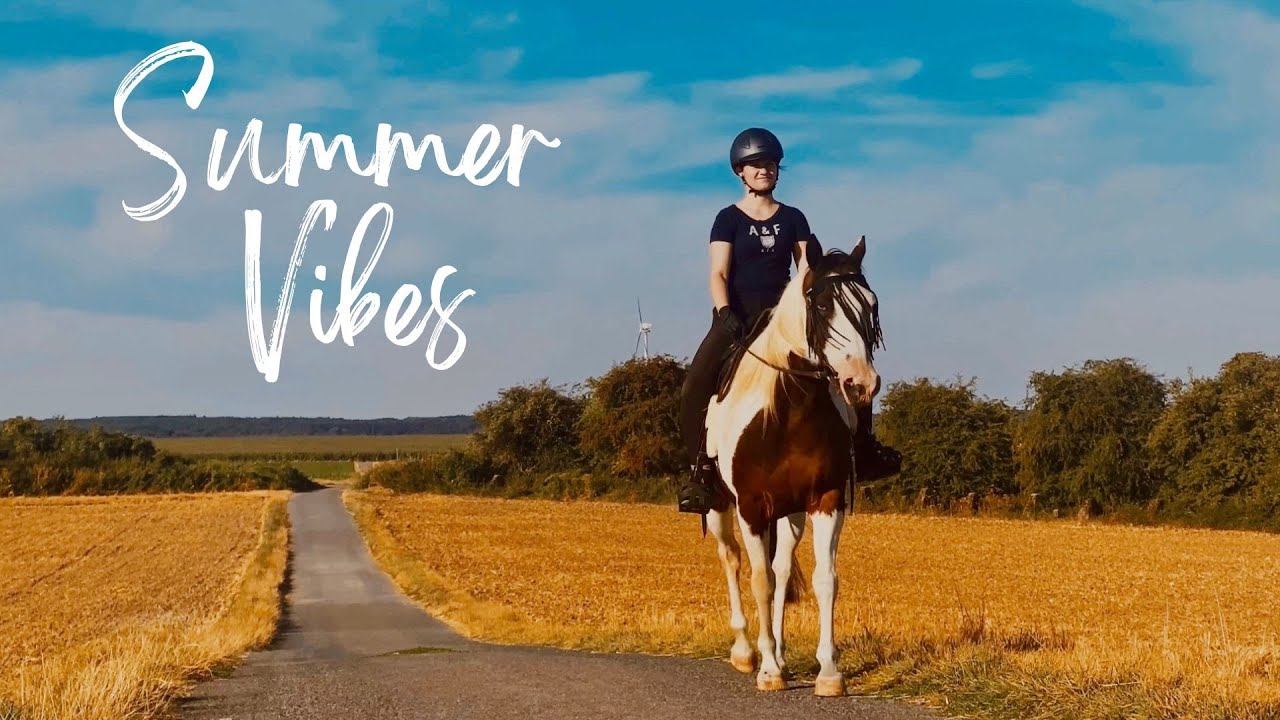 Summer season in Germany ( Country side cinematic video ) #aachen