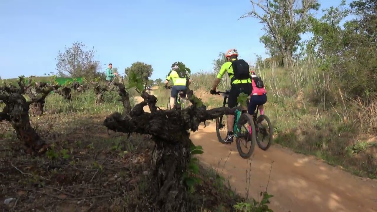101 Km Peregrinos 2022 (Completo)