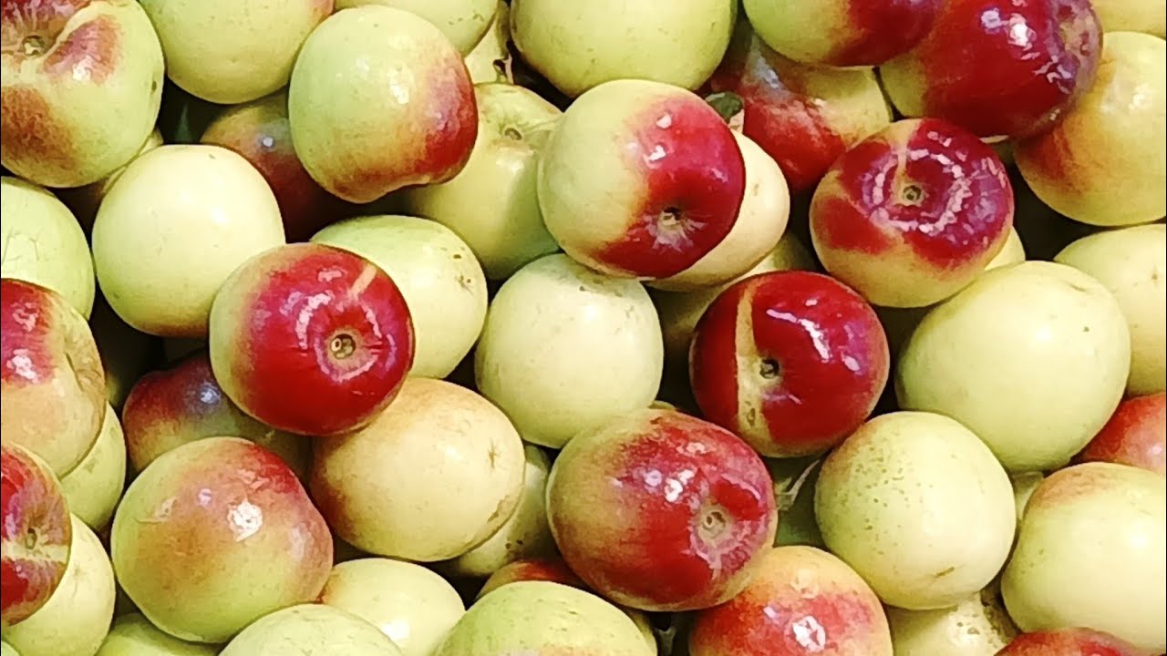 মাত্র ২০ টাকা কেজি বড়ই বিক্রি হচ্ছে Boro e #youtube #online #how #viralvideo #food #seo #suggest