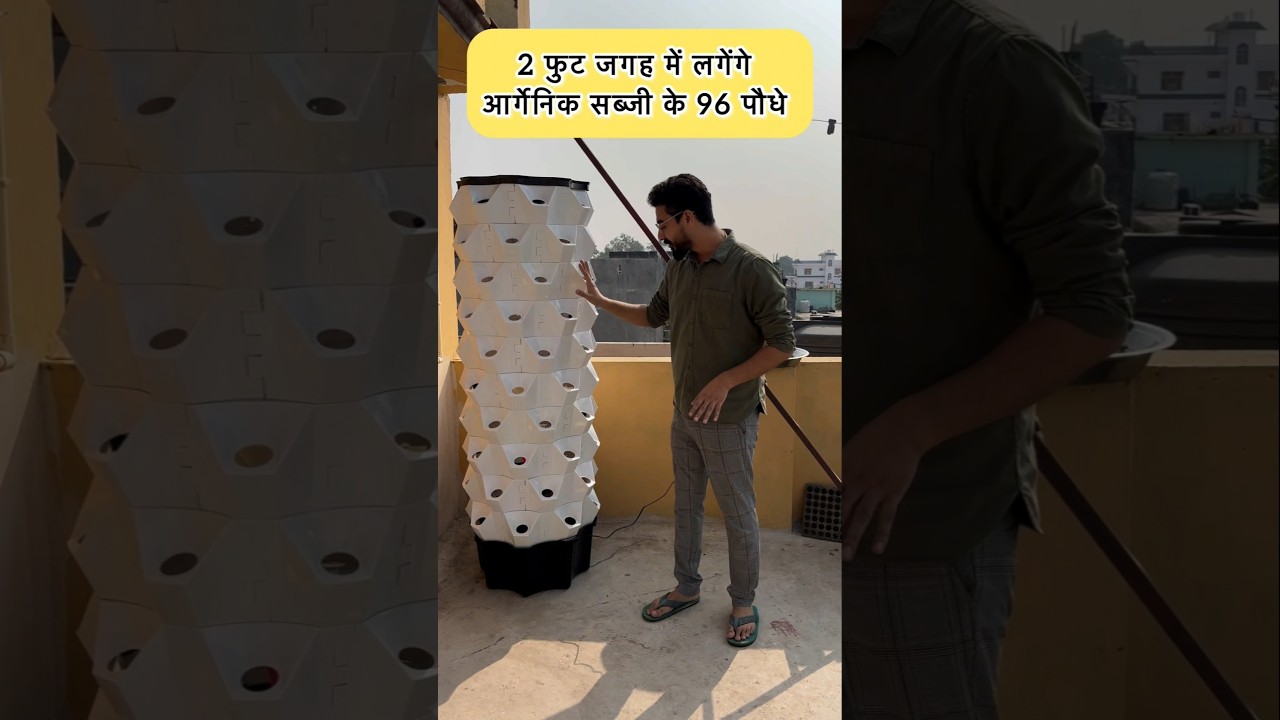 बिना छत बालकनी में मिट्टी भरे 2 फ़ीट जगह में 96 फूल /सब्जी के पौधे लगाओ #aeroponics #organicgardening