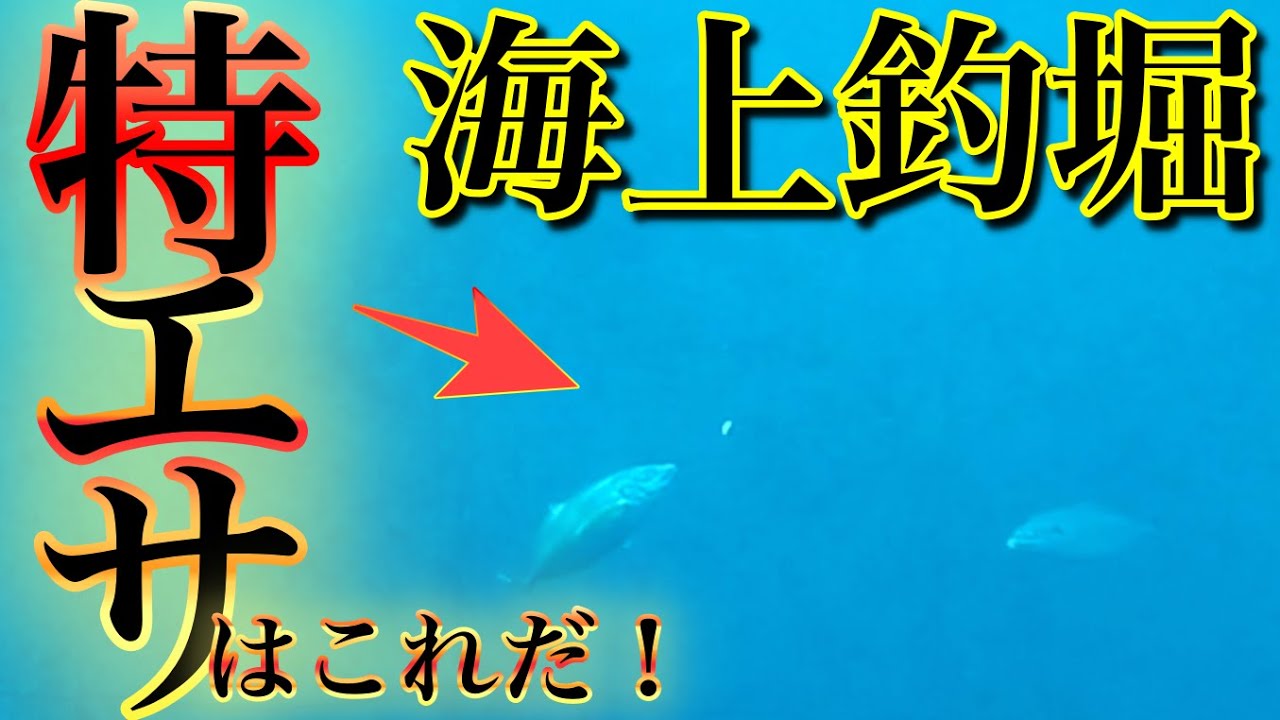 【水中映像】誰もが買えるあのお店の商品で海上釣堀を攻略！