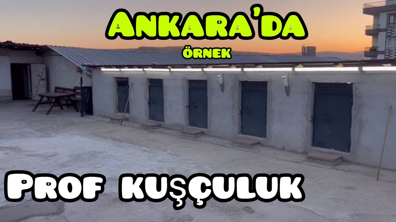 Özer keskin VE Turgut Zeytinoğlu. Onlar ortak degil? kardeş kuṣçu!! ANKARA 🇹🇷