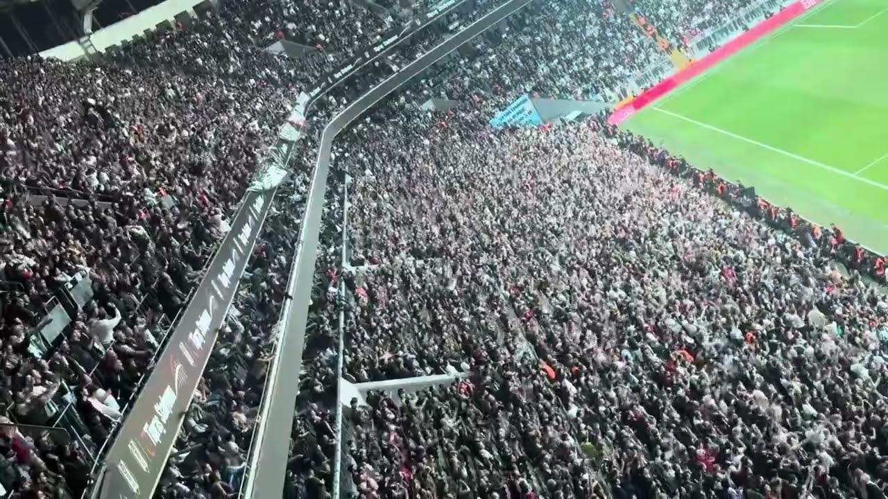 Siyah Beyaz Şampiyon Şampiyon Beşiktaşşşş