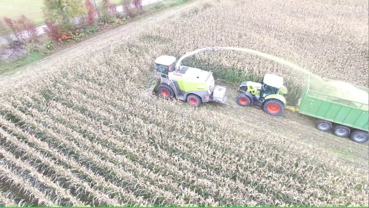 Claas ajosilppuri maissipellolla Kiuruvedellä  23.9.2016