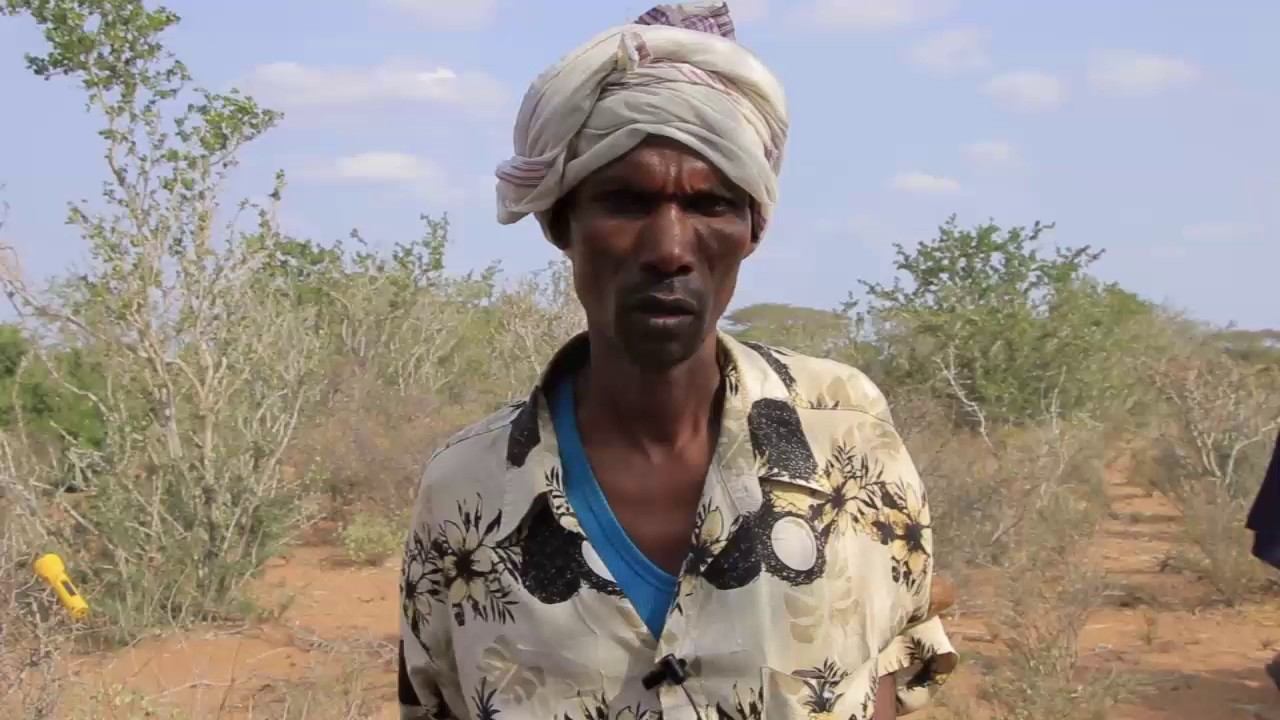 arin layaableh oo lagu arkay deganka dadaab qeybo kamid ah bisinka